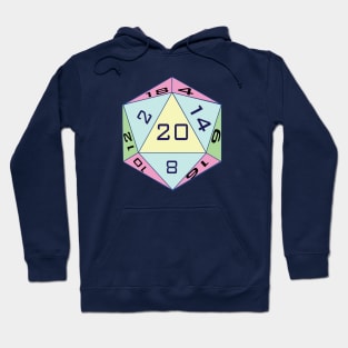 D 20 Hoodie